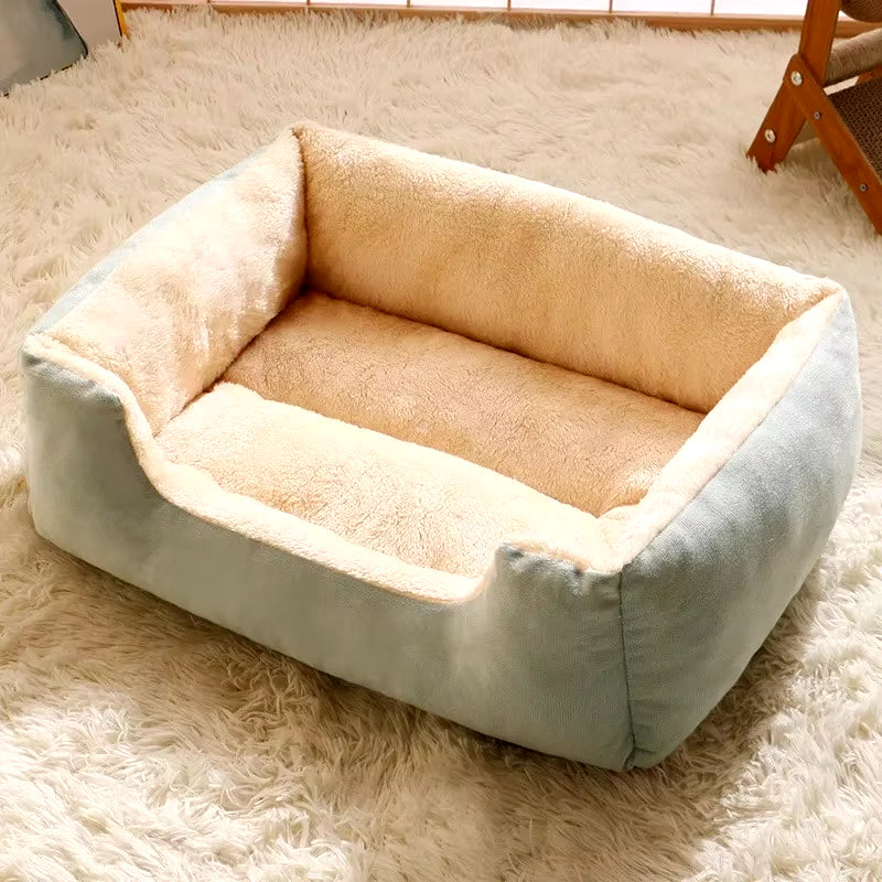 Bed for Cats Pet Products Cushions Kitten Winter Accessories Dog All Houses Supplies Things Accessory Habitats Basket House Beds