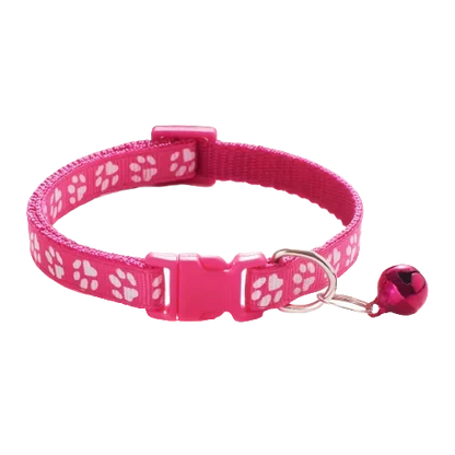 Pet Collar