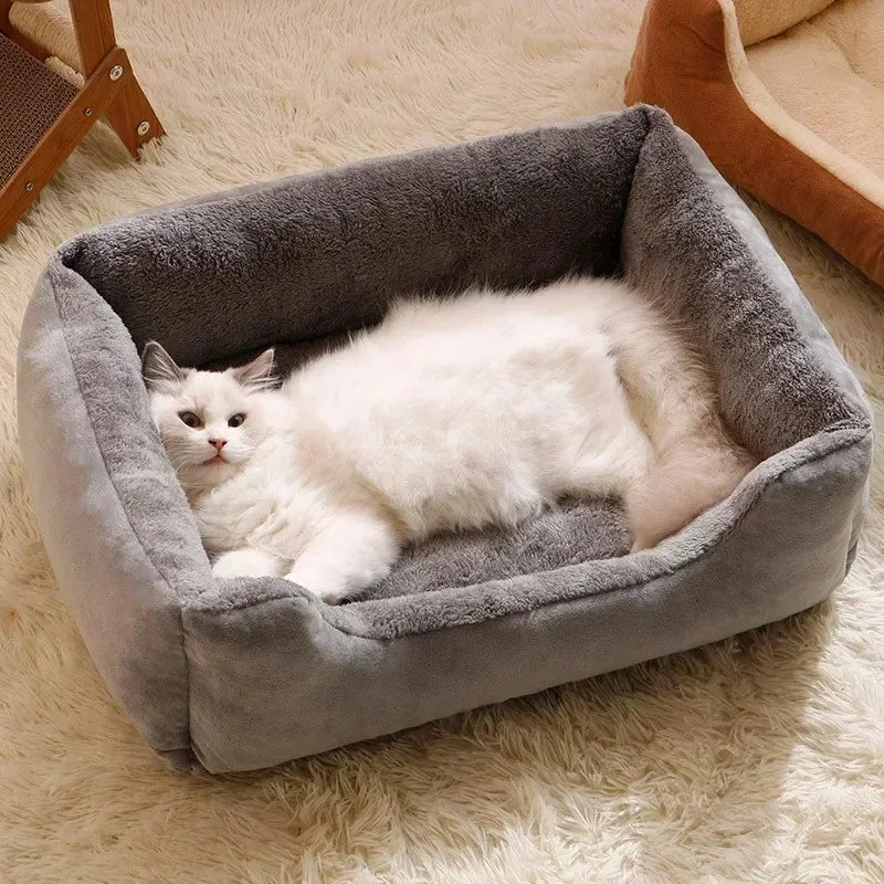 Orthopedic Plush Bed