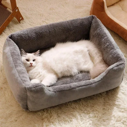 Orthopedic Plush Bed