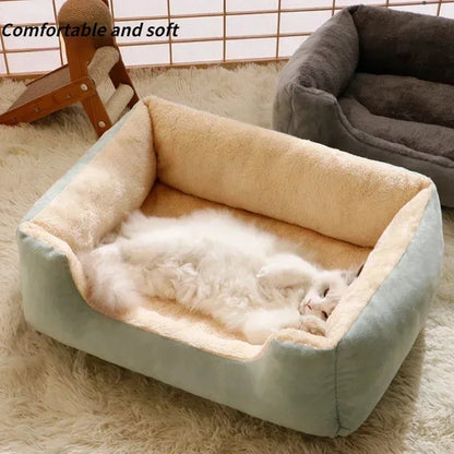 Orthopedic Plush Bed