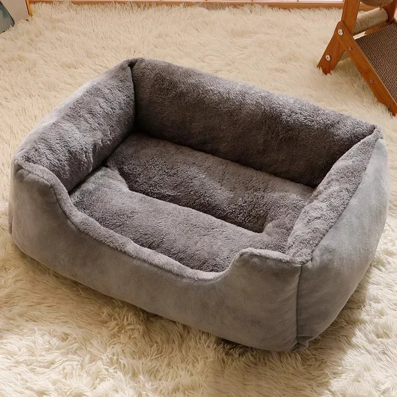 Orthopedic Plush Bed