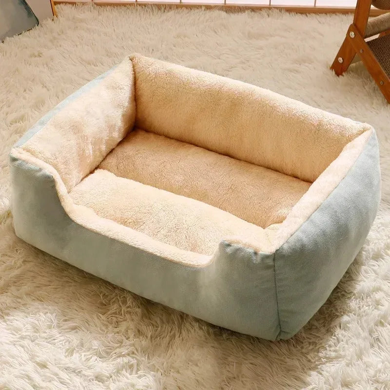 Orthopedic Plush Bed