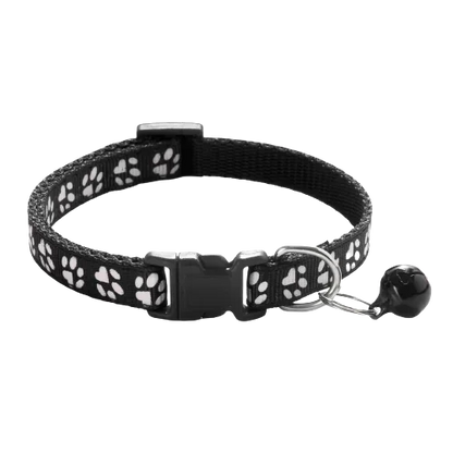 Pet Collar