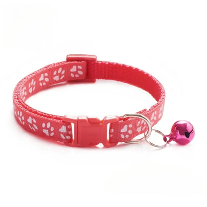 Pet Collar